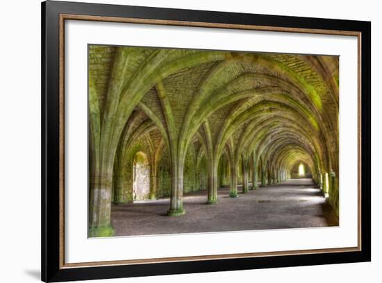 The Cellarium-Miles Ertman-Framed Photographic Print