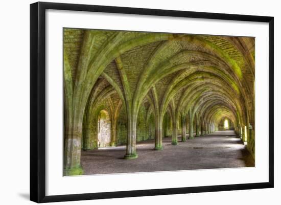 The Cellarium-Miles Ertman-Framed Photographic Print