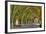 The Cellarium-Miles Ertman-Framed Photographic Print