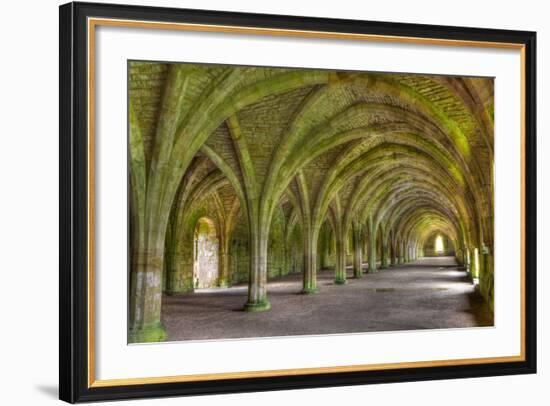 The Cellarium-Miles Ertman-Framed Photographic Print