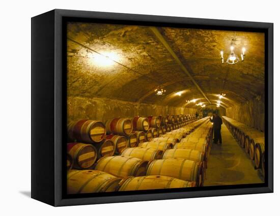 The Cellars, Chateau Lafitte Rothschild, Pauillac, Gironde, France-Michael Busselle-Framed Premier Image Canvas