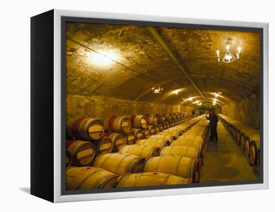 The Cellars, Chateau Lafitte Rothschild, Pauillac, Gironde, France-Michael Busselle-Framed Premier Image Canvas