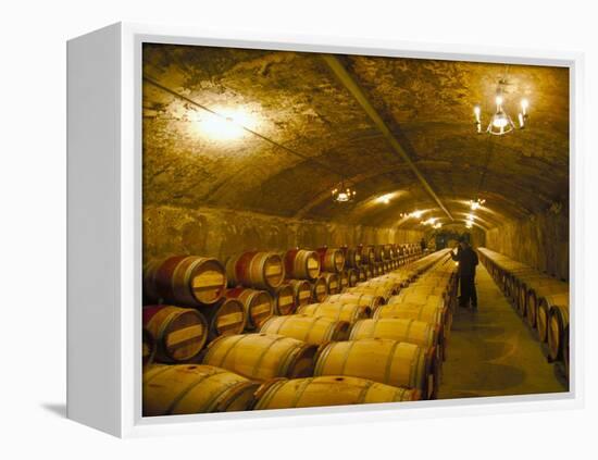 The Cellars, Chateau Lafitte Rothschild, Pauillac, Gironde, France-Michael Busselle-Framed Premier Image Canvas