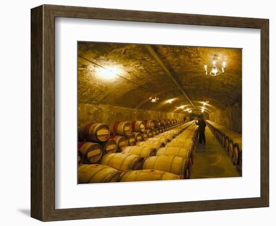 The Cellars, Chateau Lafitte Rothschild, Pauillac, Gironde, France-Michael Busselle-Framed Premium Photographic Print