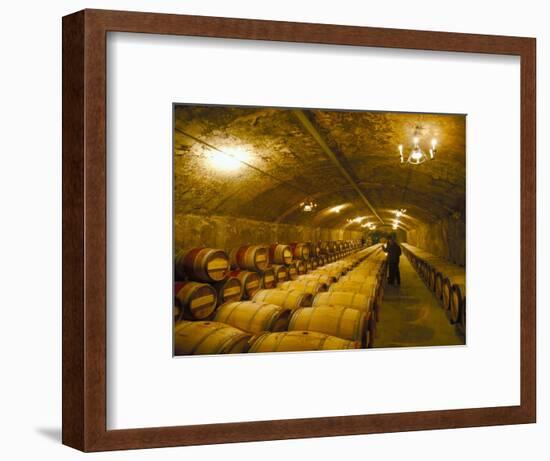 The Cellars, Chateau Lafitte Rothschild, Pauillac, Gironde, France-Michael Busselle-Framed Photographic Print