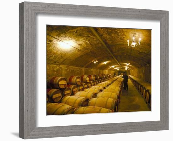The Cellars, Chateau Lafitte Rothschild, Pauillac, Gironde, France-Michael Busselle-Framed Photographic Print
