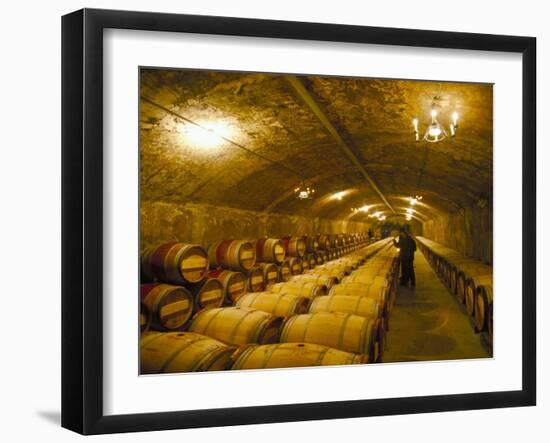 The Cellars, Chateau Lafitte Rothschild, Pauillac, Gironde, France-Michael Busselle-Framed Photographic Print