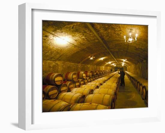 The Cellars, Chateau Lafitte Rothschild, Pauillac, Gironde, France-Michael Busselle-Framed Photographic Print