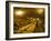The Cellars, Chateau Lafitte Rothschild, Pauillac, Gironde, France-Michael Busselle-Framed Photographic Print
