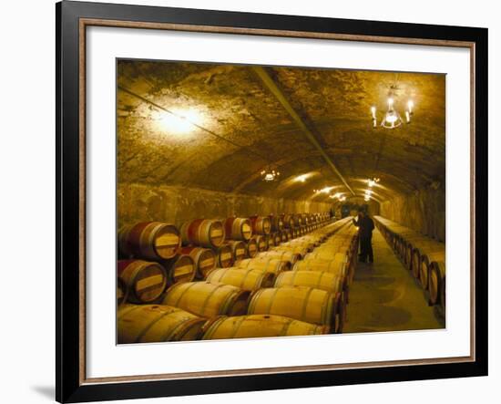 The Cellars, Chateau Lafitte Rothschild, Pauillac, Gironde, France-Michael Busselle-Framed Photographic Print