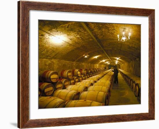 The Cellars, Chateau Lafitte Rothschild, Pauillac, Gironde, France-Michael Busselle-Framed Photographic Print