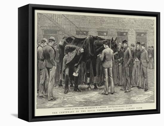 The Centenary of the Royal Veterinary College, Camden Town-null-Framed Premier Image Canvas