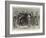 The Centenary of the Royal Veterinary College, Camden Town-null-Framed Giclee Print