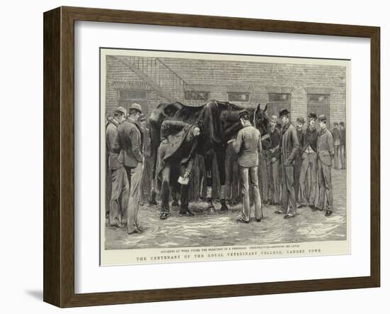 The Centenary of the Royal Veterinary College, Camden Town-null-Framed Giclee Print