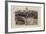 The Centenary of the Smithfield Club Cattle Show, 1798-1897-William Small-Framed Giclee Print