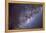 The Center of the Milky Way Through Sagittarius and Scorpius-null-Framed Premier Image Canvas