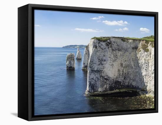 The Chalk Cliffs of Ballard Down with the Pinnacles Stack and Stump in Swanage Bay-Roy Rainford-Framed Premier Image Canvas