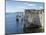 The Chalk Cliffs of Ballard Down with the Pinnacles Stack and Stump in Swanage Bay-Roy Rainford-Mounted Photographic Print