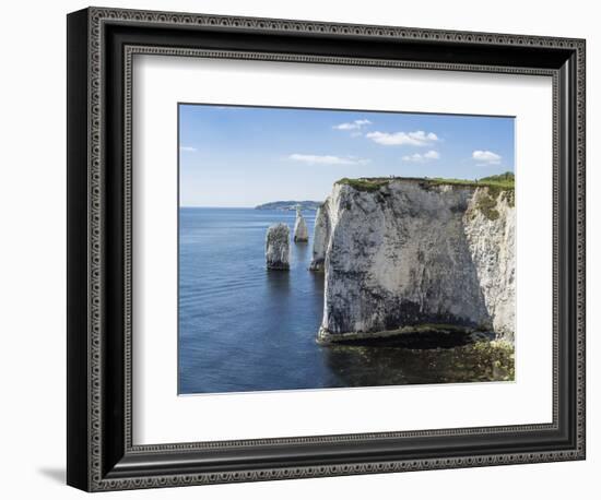 The Chalk Cliffs of Ballard Down with the Pinnacles Stack and Stump in Swanage Bay-Roy Rainford-Framed Photographic Print