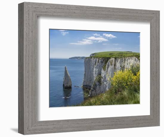 The Chalk Cliffs of Ballard Down with the Pinnacles Stack in Swanage Bay, Near Handfast Point-Roy Rainford-Framed Photographic Print