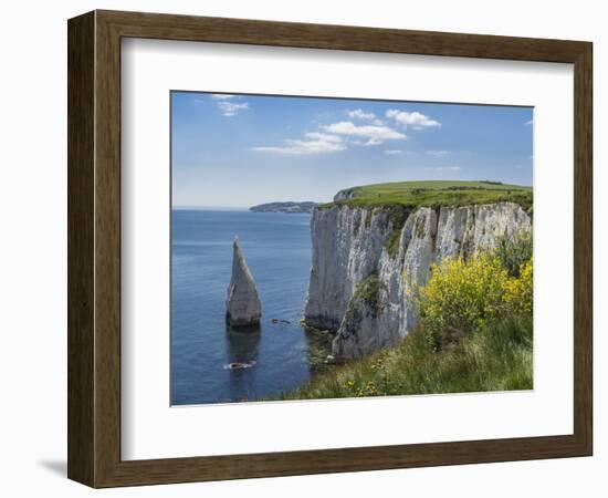 The Chalk Cliffs of Ballard Down with the Pinnacles Stack in Swanage Bay, Near Handfast Point-Roy Rainford-Framed Photographic Print