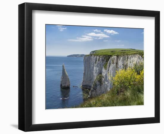 The Chalk Cliffs of Ballard Down with the Pinnacles Stack in Swanage Bay, Near Handfast Point-Roy Rainford-Framed Photographic Print