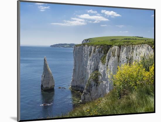 The Chalk Cliffs of Ballard Down with the Pinnacles Stack in Swanage Bay, Near Handfast Point-Roy Rainford-Mounted Photographic Print