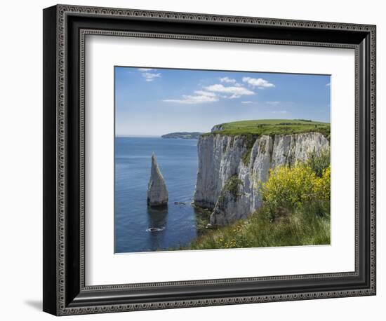 The Chalk Cliffs of Ballard Down with the Pinnacles Stack in Swanage Bay, Near Handfast Point-Roy Rainford-Framed Photographic Print