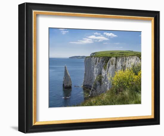 The Chalk Cliffs of Ballard Down with the Pinnacles Stack in Swanage Bay, Near Handfast Point-Roy Rainford-Framed Photographic Print