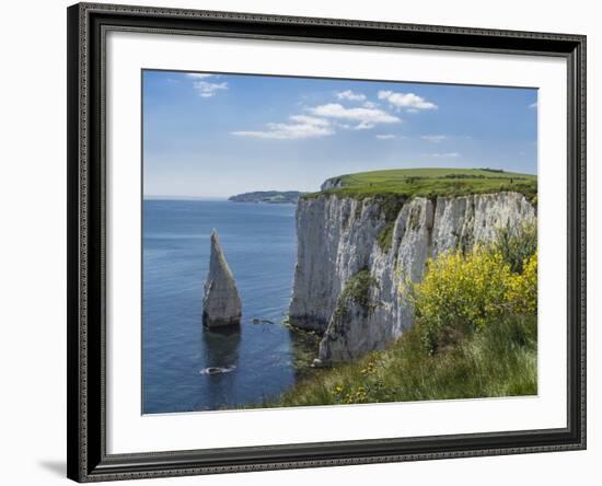 The Chalk Cliffs of Ballard Down with the Pinnacles Stack in Swanage Bay, Near Handfast Point-Roy Rainford-Framed Photographic Print