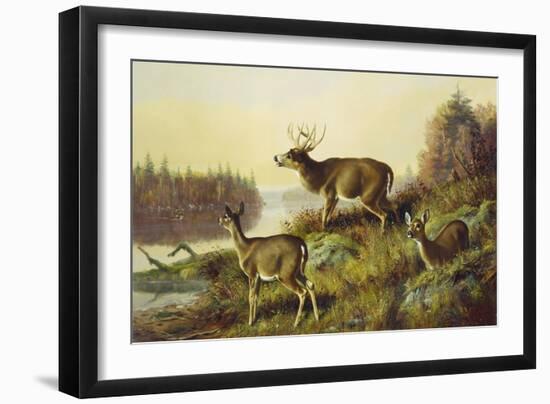 The Challenge-Arthur Fitzwilliam Tait-Framed Giclee Print