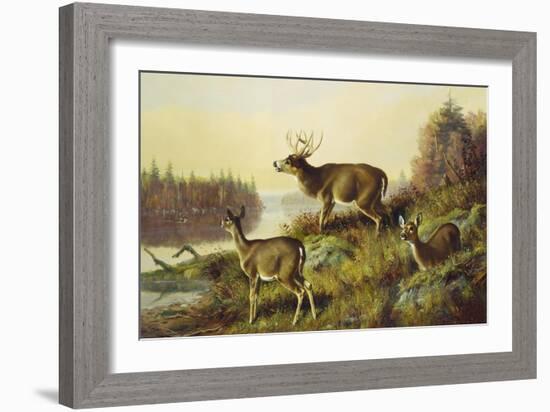 The Challenge-Arthur Fitzwilliam Tait-Framed Giclee Print