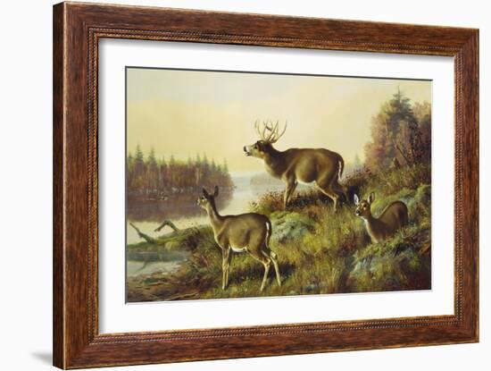 The Challenge-Arthur Fitzwilliam Tait-Framed Giclee Print