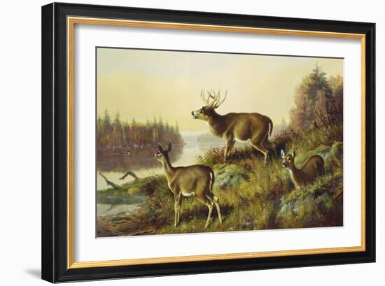 The Challenge-Arthur Fitzwilliam Tait-Framed Giclee Print