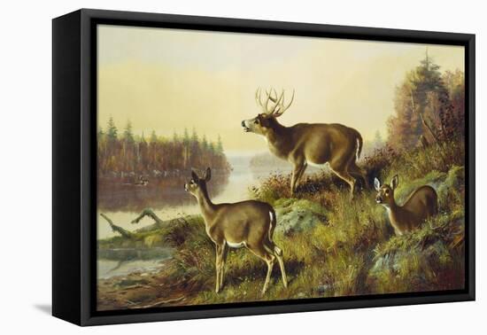 The Challenge-Arthur Fitzwilliam Tait-Framed Premier Image Canvas