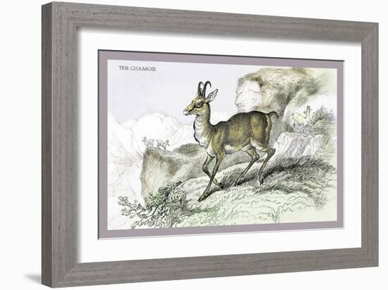 The Chamois-John Stewart-Framed Premium Giclee Print