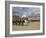 The Changing of the Guard, Horse Guards Parade, London, England, United Kingdom, Europe-James Emmerson-Framed Photographic Print