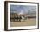 The Changing of the Guard, Horse Guards Parade, London, England, United Kingdom, Europe-James Emmerson-Framed Photographic Print