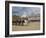 The Changing of the Guard, Horse Guards Parade, London, England, United Kingdom, Europe-James Emmerson-Framed Photographic Print