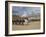 The Changing of the Guard, Horse Guards Parade, London, England, United Kingdom, Europe-James Emmerson-Framed Photographic Print