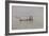 The Channel at Nieuwpoort, C. 1889-Alfred William Finch-Framed Giclee Print