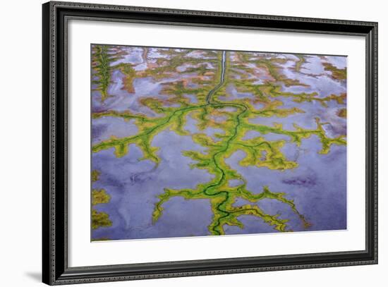 The Channels Of Tide Lines Exposed At Low Tide Along The Cook Inlet Near Anchorage Alaska-Jay Goodrich-Framed Photographic Print