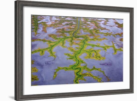 The Channels Of Tide Lines Exposed At Low Tide Along The Cook Inlet Near Anchorage Alaska-Jay Goodrich-Framed Photographic Print