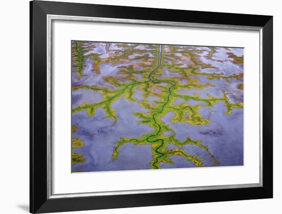 The Channels Of Tide Lines Exposed At Low Tide Along The Cook Inlet Near Anchorage Alaska-Jay Goodrich-Framed Photographic Print