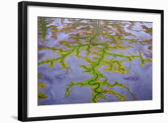 The Channels Of Tide Lines Exposed At Low Tide Along The Cook Inlet Near Anchorage Alaska-Jay Goodrich-Framed Photographic Print