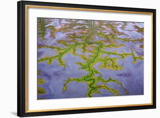 The Channels Of Tide Lines Exposed At Low Tide Along The Cook Inlet Near Anchorage Alaska-Jay Goodrich-Framed Photographic Print