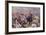 The Charge of the Heavy Brigade Against the French Cuirassiers at Waterloo, from 'British Battles…-Christopher Clark-Framed Giclee Print