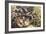 The Charge of the Lancers, 1915-Umberto Boccioni-Framed Giclee Print