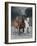 The Charmed Ones-Bob Langrish-Framed Photographic Print