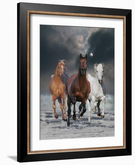 The Charmed Ones-Bob Langrish-Framed Photographic Print